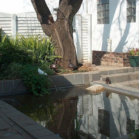 Liongate Bed And Breakfast Edenvale Exterior foto